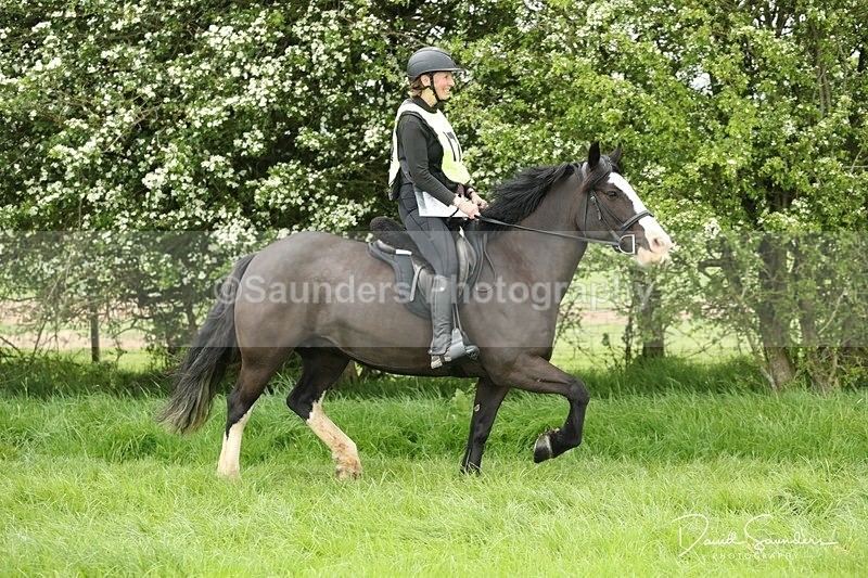 SPXX5485 - 174