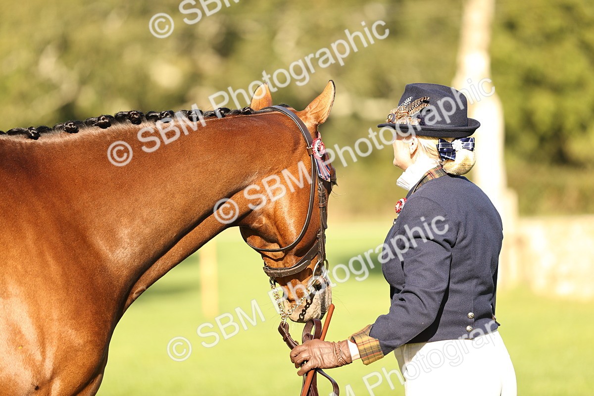 SBM_15752 - S1 - TSR in Hand Horse & Pony Showing