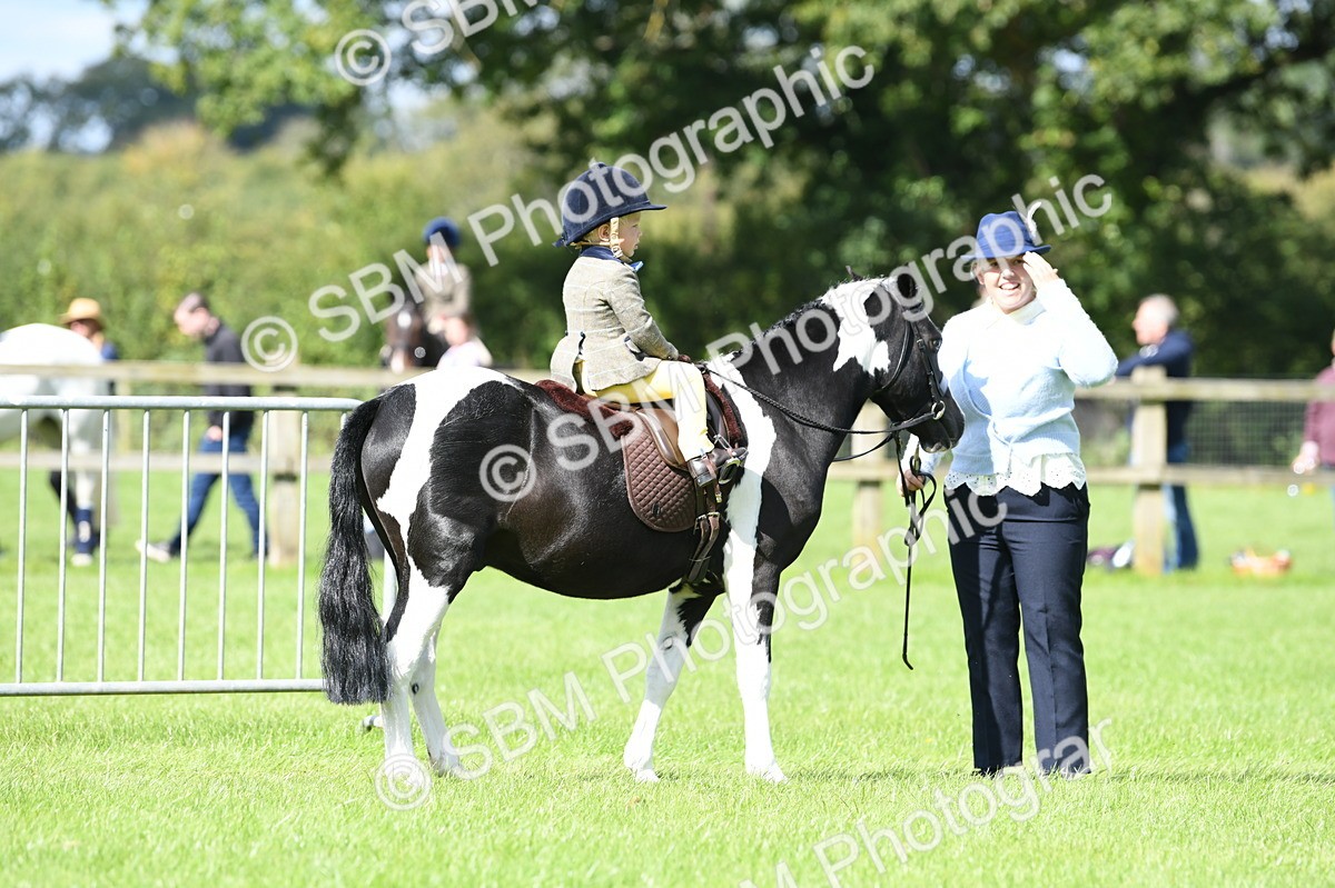SBM_41164 - S19 - Lead Rein Show & Show Hunter Pony