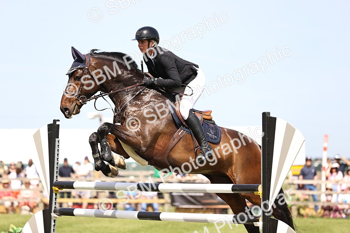 SBM_03218 - Class 201 - British Horse Feedds Speedi Beet HOYS Grade C
