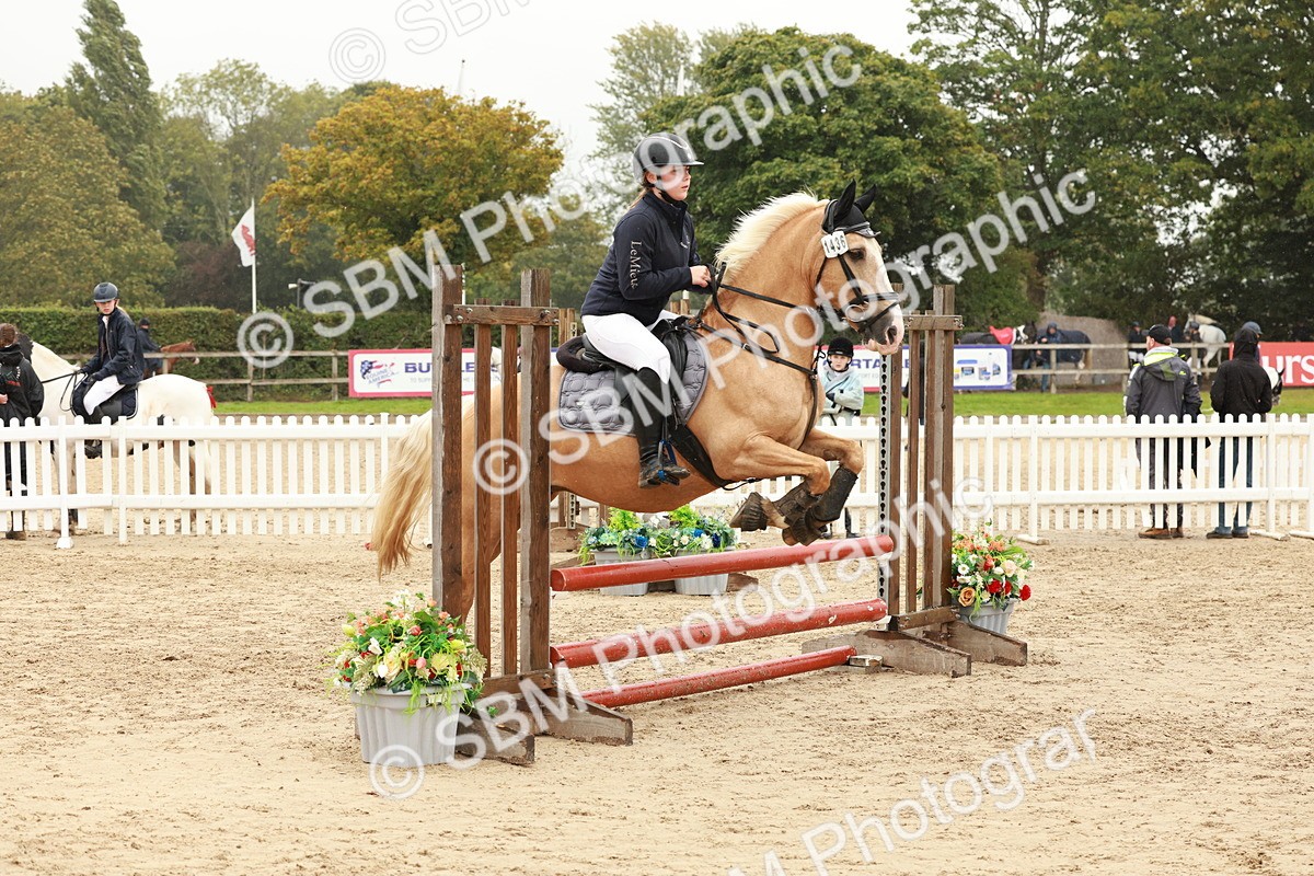 SBM_71148 - J14 - Junior Pony 65cm Championship