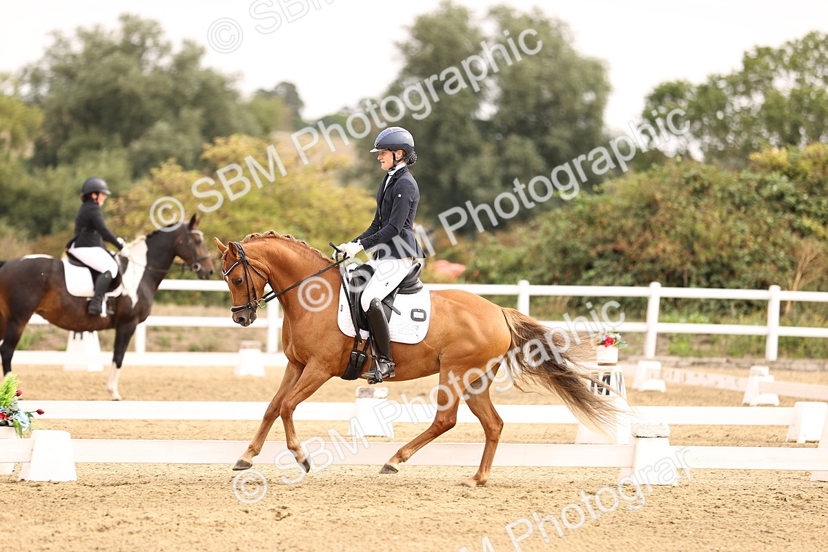 SBM_011693 - Class 1 - Medium 5