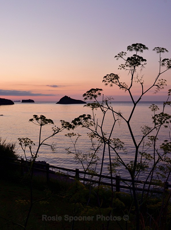 Portrait sunrise view of Meadfoot - Portrait Views