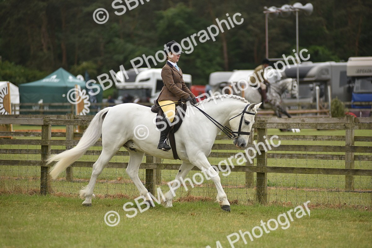 SBM_11989 - Class 110-112 - LIHS BSPS Performance Pones