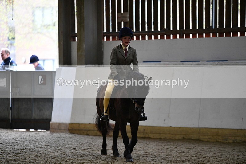 WJ5_6913 - Class 10 Childs Pony