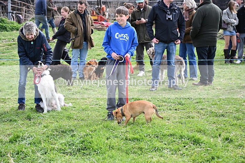 WJ6_8627 - Class 6 Best Rescue