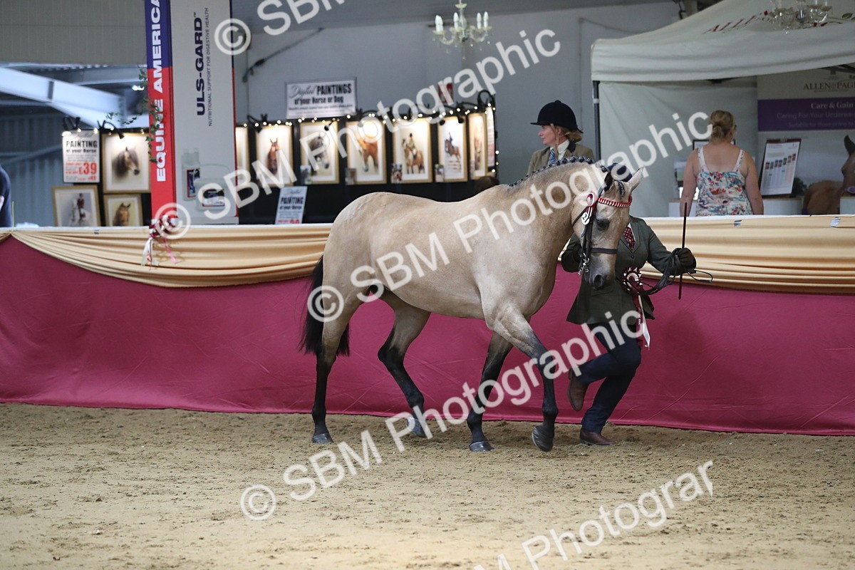 SBM_06618 - Regional IH Champ