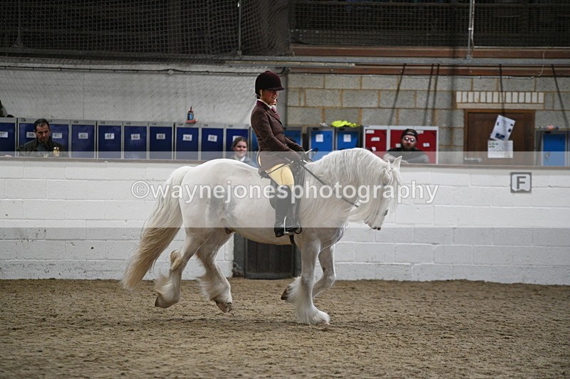 WJ7_4213 - Class 17 Ridden Cob