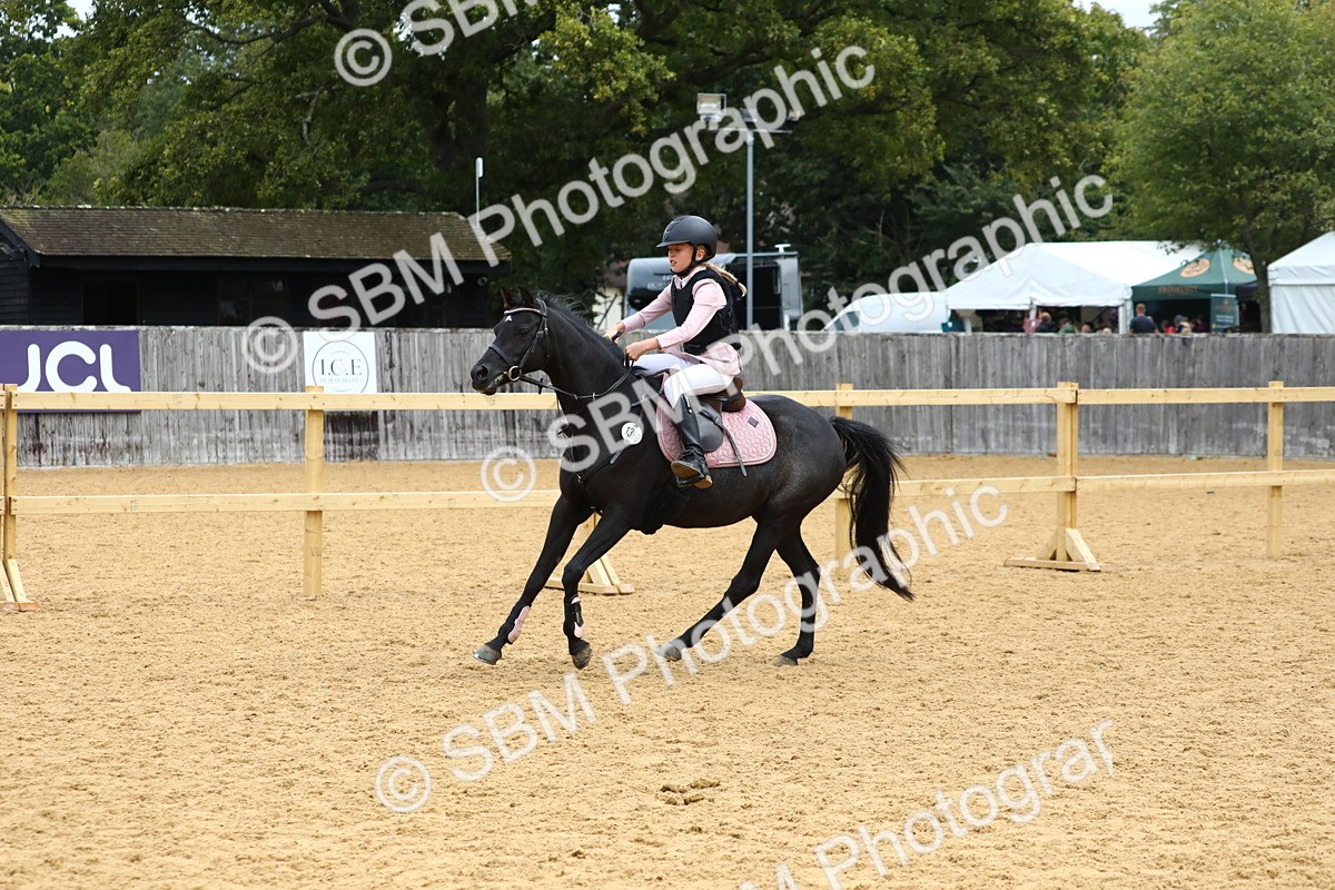SBM_62382 - J64 - Junior Pony 60cm Championship