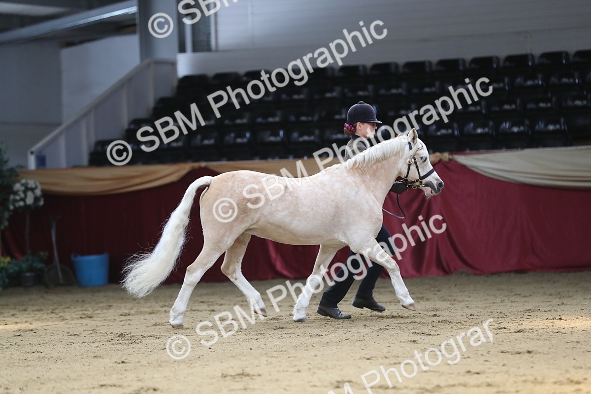 SBM_04331 - Class 7R Regional - IH Diamond