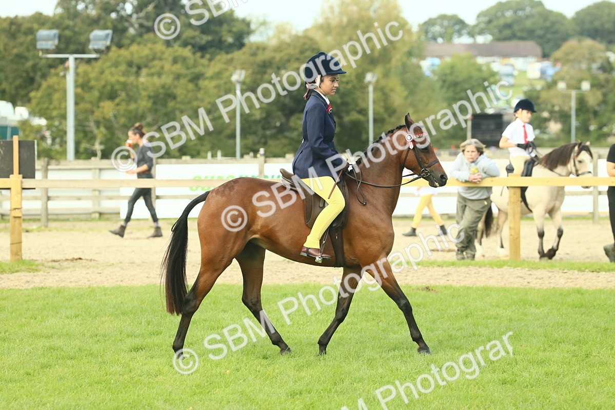 SBM_68083 - S57 - Part Bred Pony Ridden