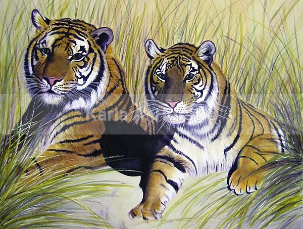 Tigers - Commissioned Art