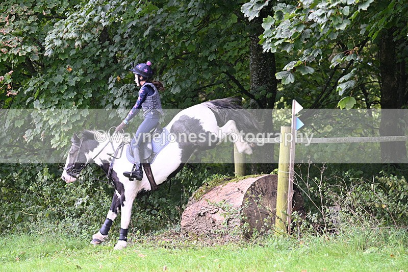 WJ7_8235 - Time 14:11 to 14:30