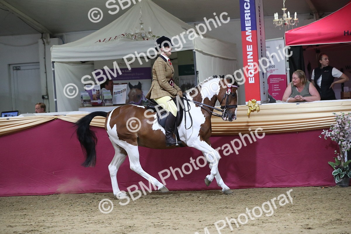 SBM_08513 - Class 11R Regional Ridden Veteran