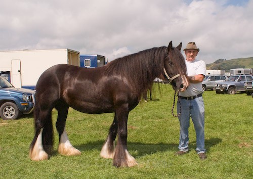 90 - Moniaive Horse Show 2008
