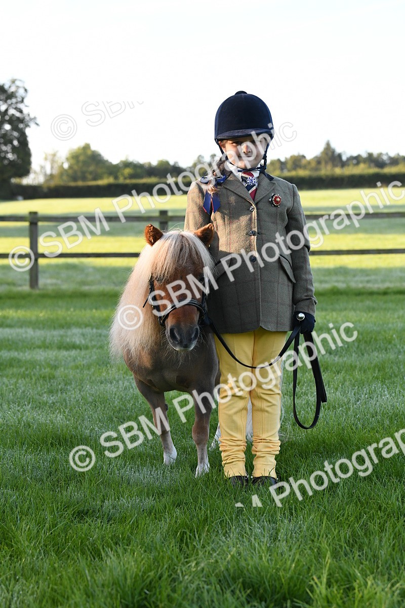 SBM_32736 - S15 - Condition & Turnout In Hand