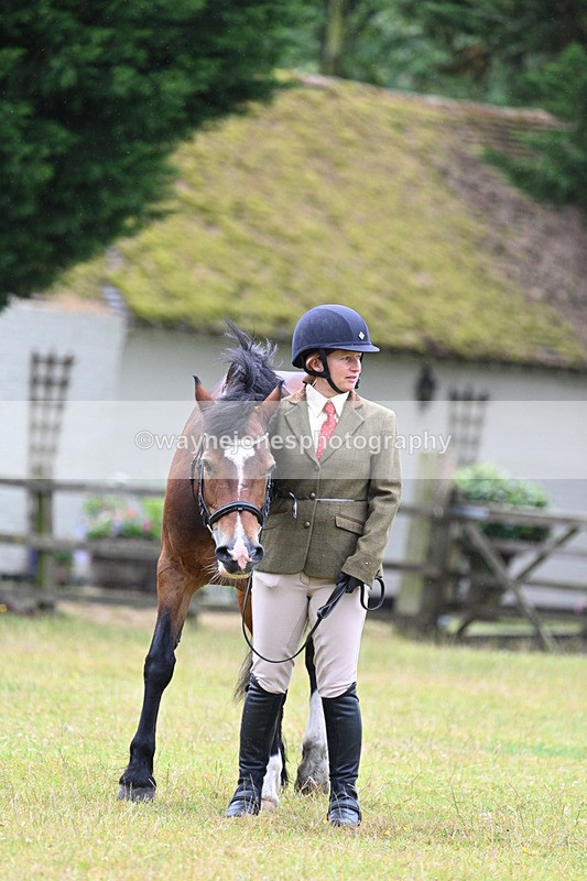 WJ7_6299 - Class 4a Prettiest Mare over 14hh