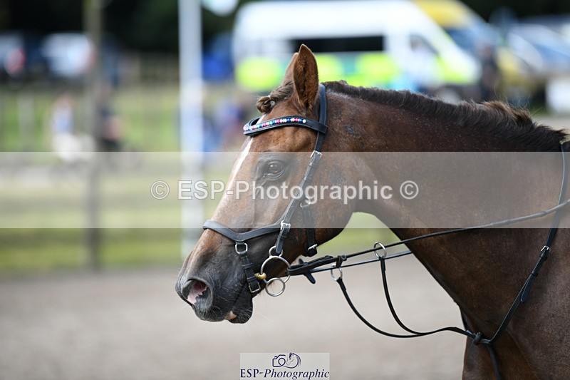 240825X-100158-30887 - 70cm SJ 9.15 to 10.21