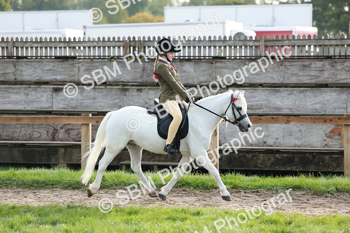 SBM_56309 - S39 - Starters In Hand Showing