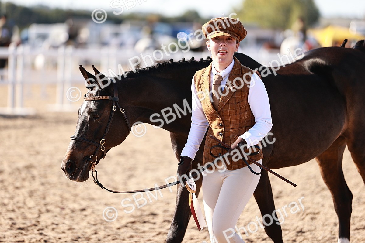 SBM_11481 - Class 402 - IH  Veteran pony