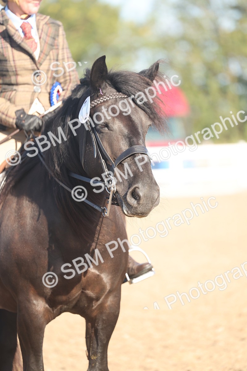 SBM_22142 - Class 801 - Ridden Veterans