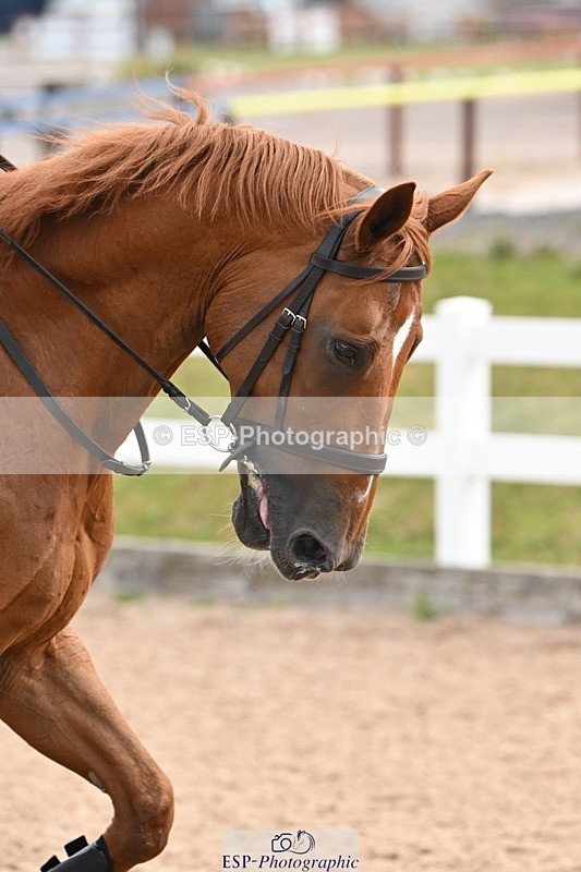 250723-110347-00183 - Cls 1 British Novice and 90cm