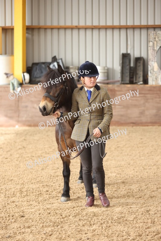 20251109-0620 - Class 22 - Geldings 4 Years and over