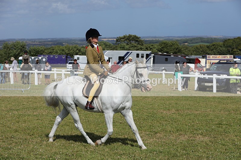 1X9A5775 - Class 40: NPS Welsh A & B