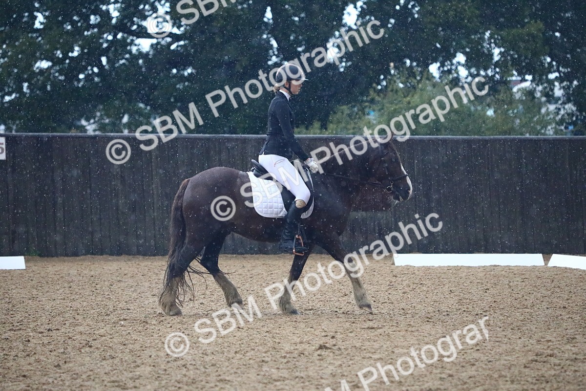 SBM_38843 - D21 - Junior Championship Intro 1