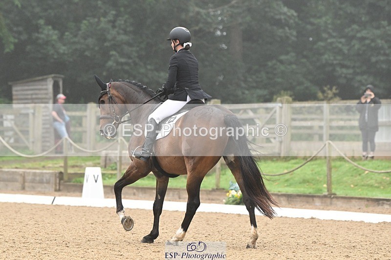 240811-094100-04841 - 119-Alice.Kneen-Dazzling.Springtime