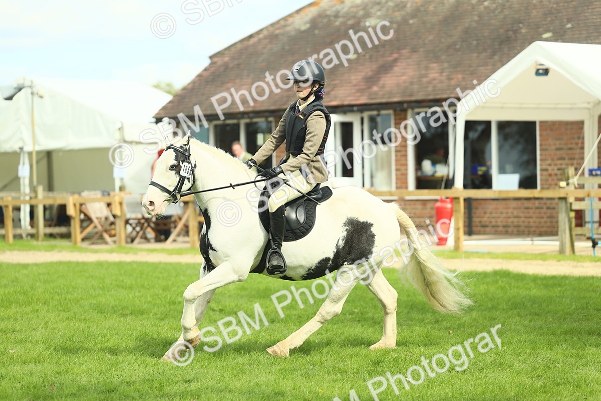 SBM_44704 - S31 - Working Hunter Pony
