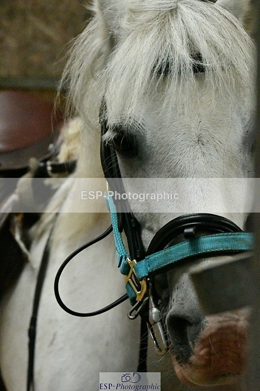 230804A-095727-01540 - Stable Shots