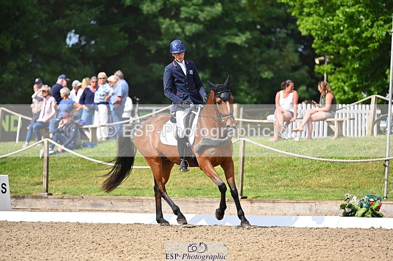 250523A-094211-05319 - C-258-Bill.Levett-ITALIAN.HARLEQUIN.NJ