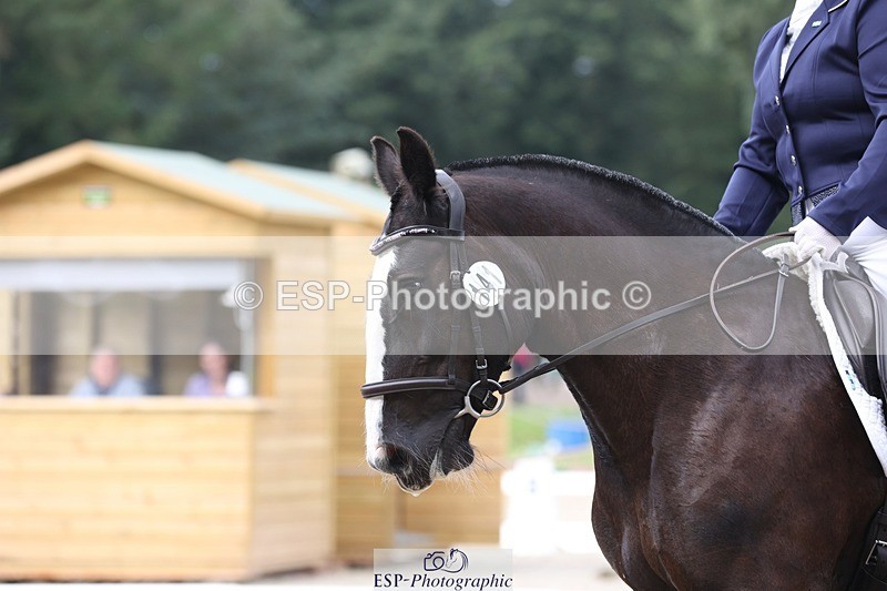 230812-112034-03742 - Cls 5 Novice Bronze 11.15 to 12.50 break