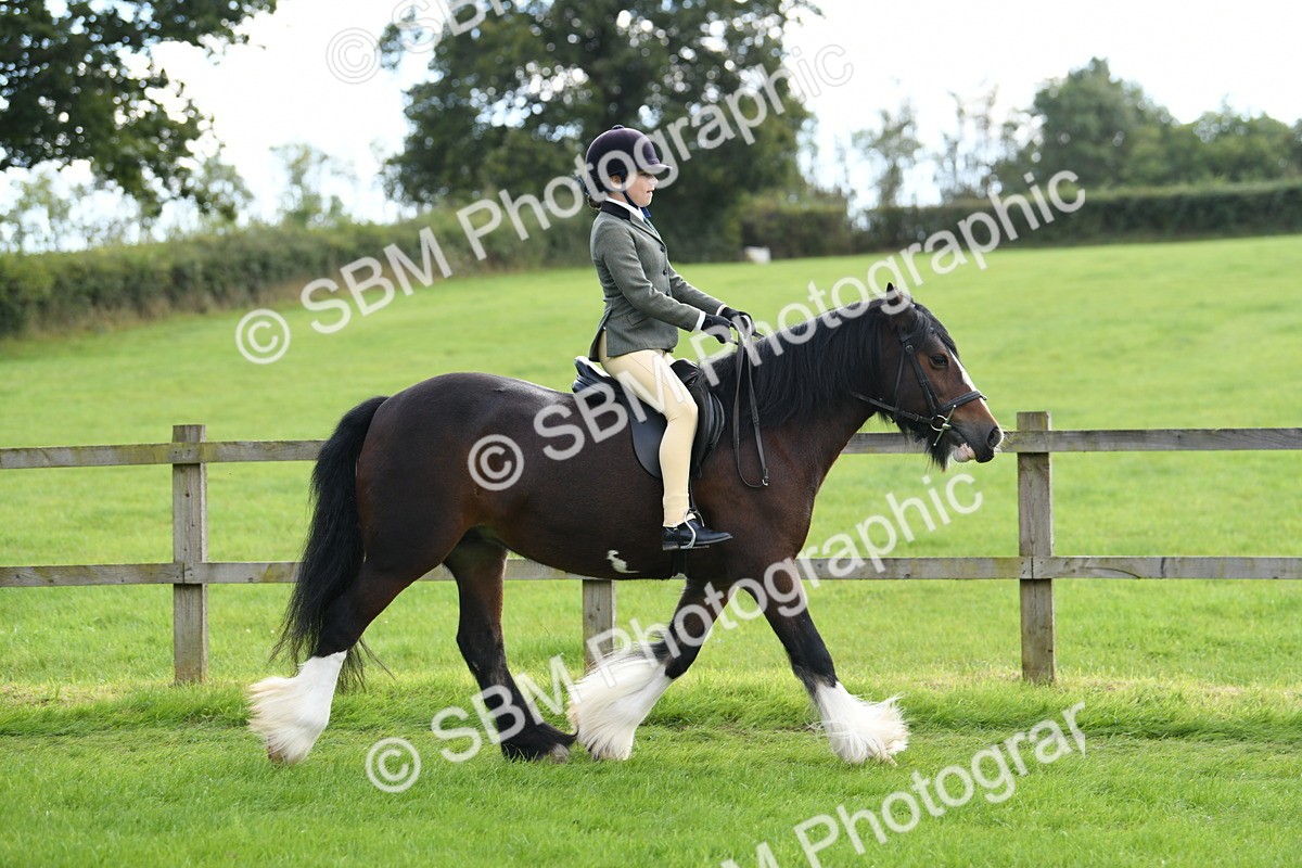 SBM_46730 - S12 - Family Horse & Pony