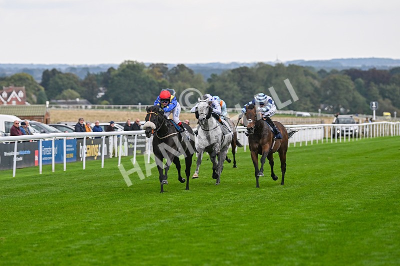 240924-Race 4-Tees Spirit-6219 - Race 4