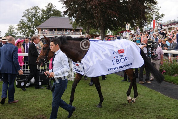 yr20082022r4-245 - Race 4 3.35pm Sky Bet Ebor