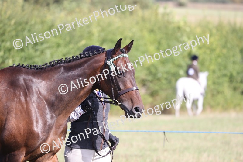 20260906-0656 - Class 22 - Ex Racehorse