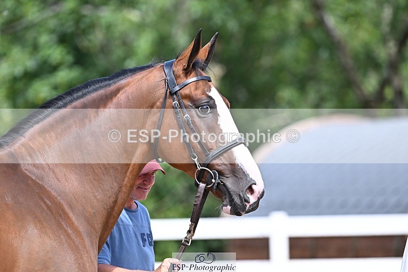 250716-124639-00157 - Trot Up 12.30 to 1.30