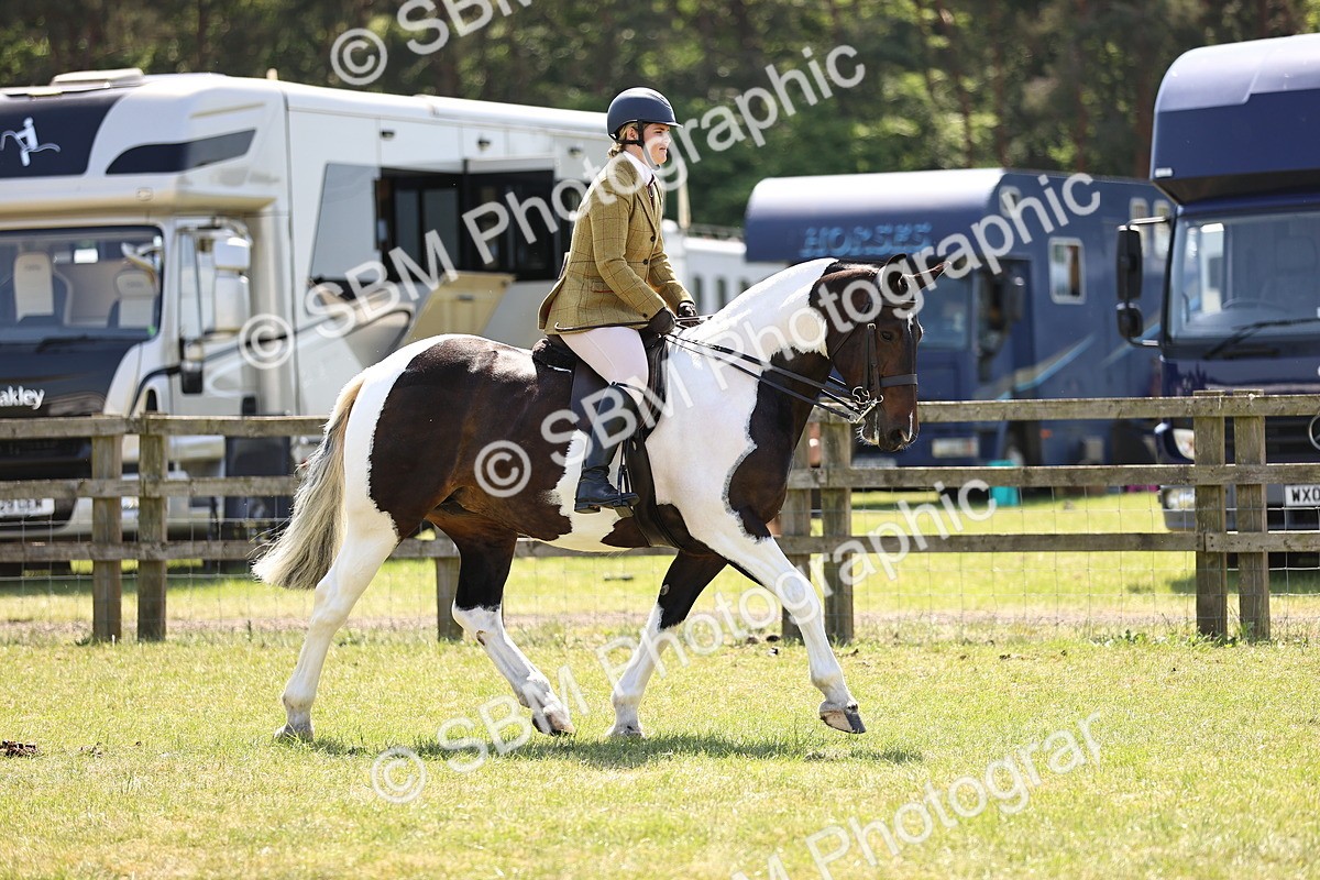 SBM_17811 - Class 81-83 - TSR Ridden Amateur of the Year - Horses