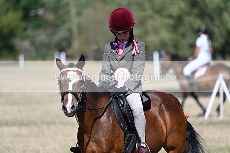 WJ7_4185 - Class 9 Mountain & Moorland Ridden