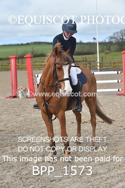 BPP_1573 - CLASS 7 Pony Discovery / 90cm Open