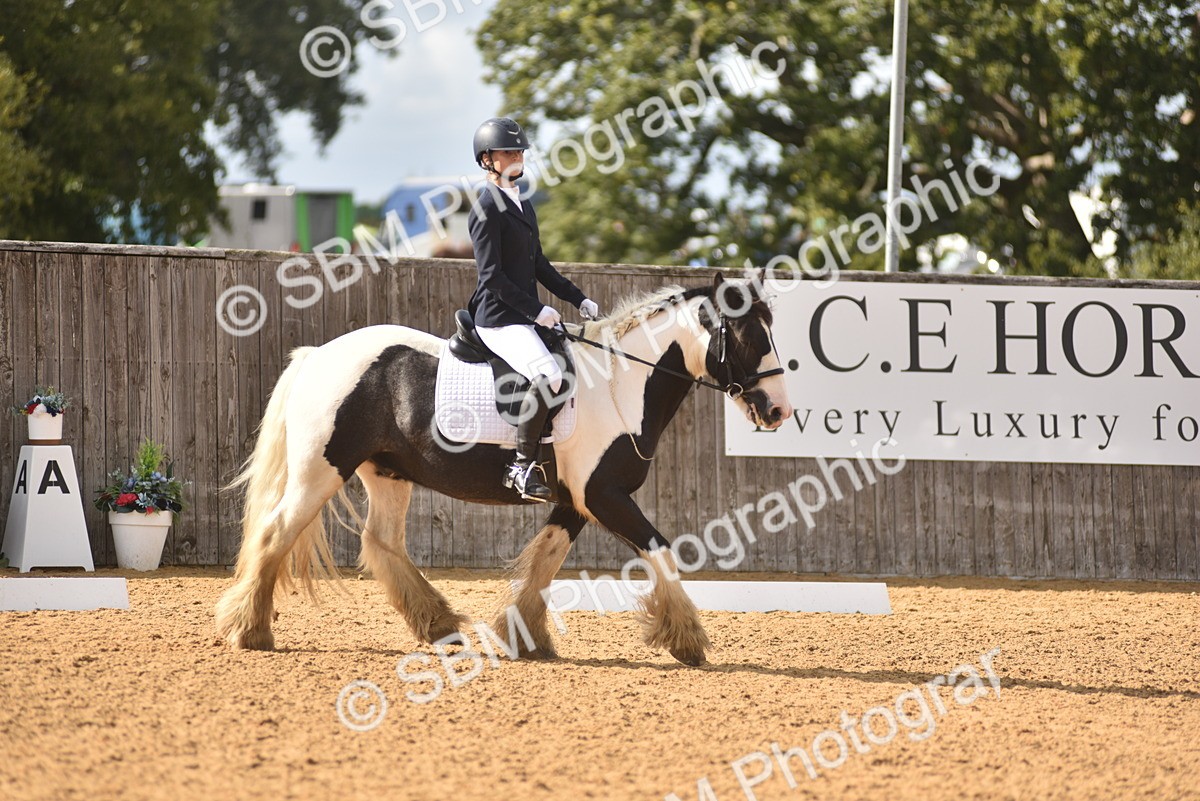 SBM_48844 - D22 - Junior Championship Intro 3
