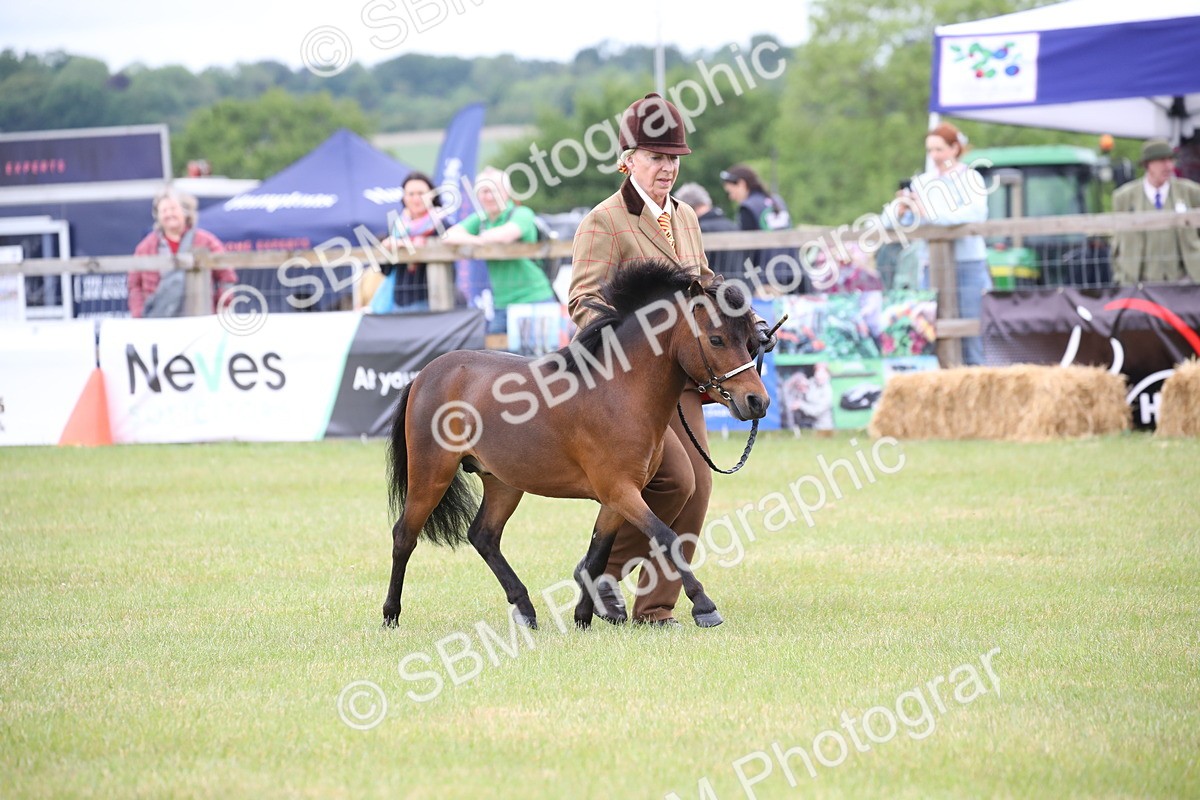 SBM_03686 - Class 23-25 - British Miniature Horse of the Year