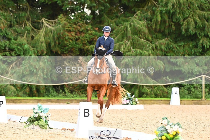 231020-145816-10054 - 311-DALOUBET.MANSOLEIN.Z-Kat.Raybould-DR