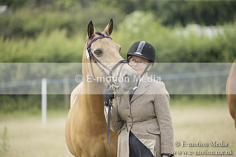 B230619-0493 - Bourne Valley Riding Club Summer Show 23/06/19