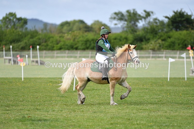 WJ5_2309 - Class 2 40cm