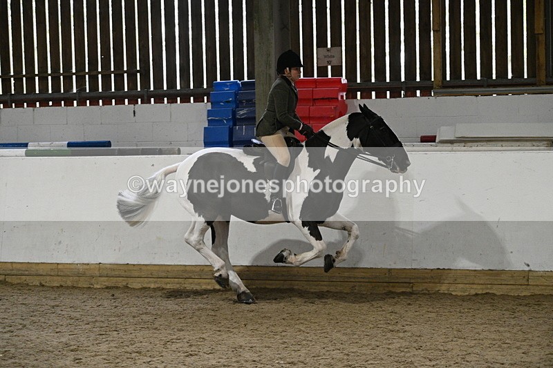 WJ7_4081 - Class 17 Ridden Cob