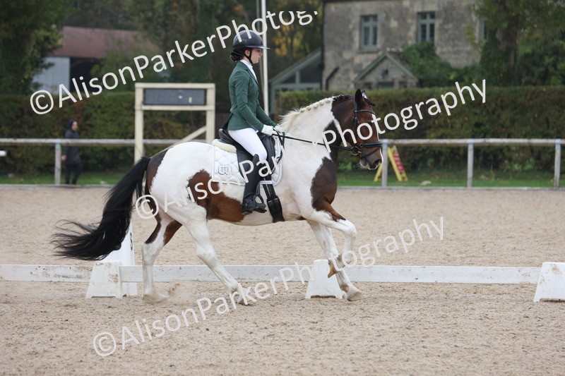 20251012-0595 - Class 5 - Elementary 5