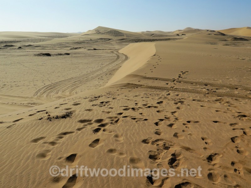 Namibia Walvis Bay desert dune view advancing right to left - Namibia, Southern Africa